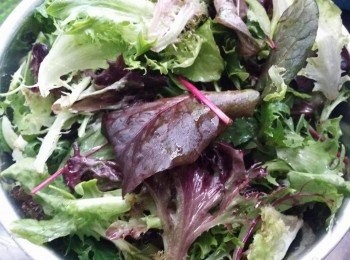 step2: 把所有機蔬菜及有機小番茄洗淨備用