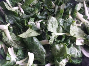 step1: 白菜仔洗淨備用，肉片用<span class="group_3">醃料</span>醃15分鐘。