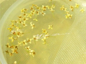 step4: 輕柔洗淨~切勿用力捏