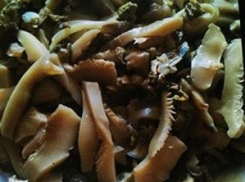 step3: 等蠔豉花菇都到了可接愛程度時,再加適量的蠔油來增加香味即可上碟