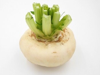 step1: 盤菜的廬山真面目就長這樣的，像不像一個被拍扁了的大蘿蔔。哈哈