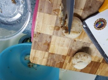 step4: 鮮百合切去頭及尾的泥及硬身部份,洗淨撕開一片片待用