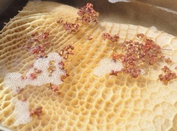 step1: 先將牛肚以適量的水分加入少許米酒和花椒粒滾煮去腥撈起備用(牛腩也以少許的蒜段葉及薑片和米酒及水川燙)