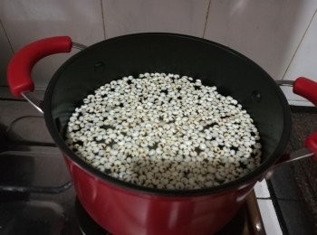 step2: 加入生薏米和熟薏米在鍋內，用大火煮，水滾後轉細火，煮一個半小時。