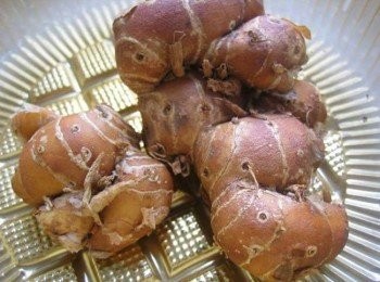 step3: 也可用新鮮沙姜代替沙姜粉,將沙姜切碎,約兩湯匙份量,白鍋炒香,再和雞一起蒸。