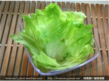 step3: 將萵苣充分洗淨後，撕成適當的大小，擺放於碗中。