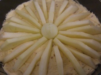 step5: 將麵糊倒入焗盤,再將巳削皮的蘋果片釀入蛋糕內,預設時間45分鐘。