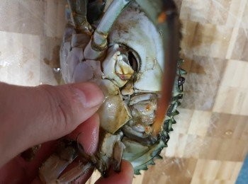 step6: 再搣去眼蓋部份