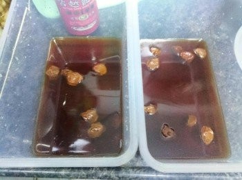 step3: 在大密實盒中, 注入香糟露、花雕、清雞湯、杞子、話梅、一點點雞汁(以48隻的分量大概是半茶匙到3/4茶匙即可)。
<br><br>
YummyMammy小小TIPs: <br>
如果烹煮時用了雞粉, 這裡就可以不放雞汁。