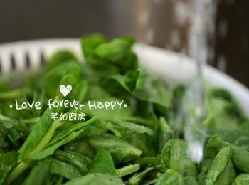 step1: 豆苗洗淨, 瀝乾水份, 備用