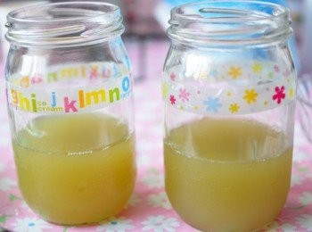 step4: 將甘蔗汁分瓶裝在器皿裡