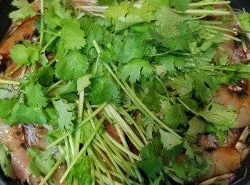 step6: 最後在蝦面放上 2/3 芫荽葉部及根部。先開大火加熱5分鐘，轉細火煲12分鐘。熄火焗多5分鐘後，開蓋撈勻蝦，腩肉，粉絲及汁料，再加入芫荽加蓋焗2分鐘已可。