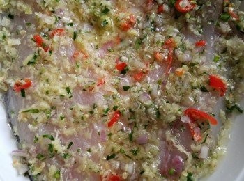 step3: 將【<span class="group_2">醃魚香料</span>】塗在魚肉上，放雪櫃雪最少1個鐘。