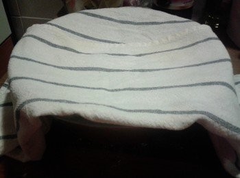 step3: 將麵糰放入碗內，蓋上布，讓麵糰靜止20分鐘