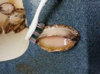 step3: 用牙擦擦去邊位黑色污濁物,再沖洗乾淨