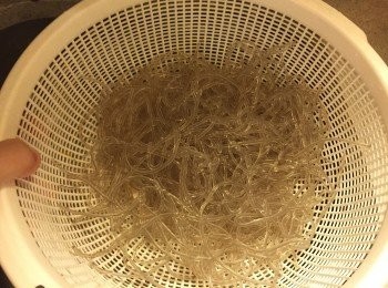 step4: 盛起後用凍水略沖一會