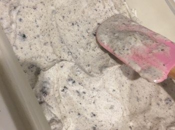 step9: 攪混後可以倒入盒內，放入雪櫃內十二小時後可以食用。