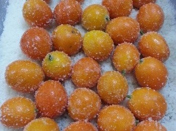 step2: 取一大盤, 放入粗鹽及金桔, 再搖一下令金桔沾上粗鹽。