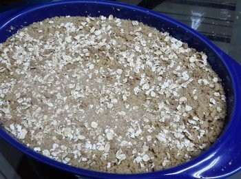 step5: 再將一湯匙黑糖及一湯匙燕麥片拌勻，灑在<span class="group_2">金寶</span>上（此步驟可省略）