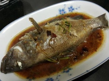 step5: 簡簡單單蒸石班
材料：
石班 260克
薑3片（切絲）
蒜頭（切碎）少許
乾蔥（切碎）少許
糖 1/2茶匙
雞粉 1/2茶匙
辣椒碎 少許
蔥段 切絲
魚汁做法 :
芫茜 少許 (約1 棵)
蔥段 (1 棵切片)
蒜頭 (1 粒切片)
薑片 3片
糖 半茶匙
生抽 少許
雞粉 半茶匙
麻油 少許
魚汁做法:
將芫茜 , 蔥段, 蒜頭, 乾蔥, 薑片少少油爆香, 加半碗水細火煮滾 2 分鐘, 加入雞粉, 生抽,糖, 麻油隔渣後只要魚汁.
做法 :
將石班清洗後隔乾水份, 放薑絲在魚的底面, 水滾後放入蒸 5
