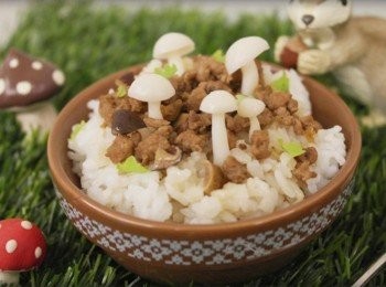 step6: 好童趣的小森林!!!!