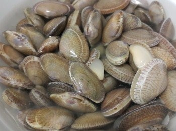 step1: 用鹽水浸泡放沙，最好有4小時