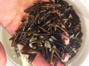 step3: 把牛肝菌及野米放入飯煲一起煮