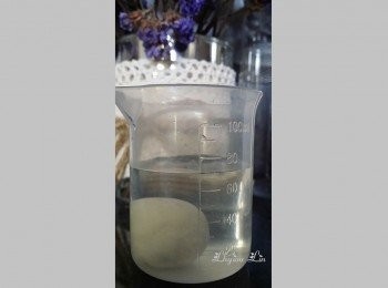 step14: 水球法 : 是利用酵母菌繁殖, 釋放二氧化碳, 使麵糰充氣膨脹, 到了一定的氣量便會升起。