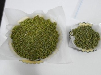 step8: 15分鐘後取出~~ 派皮放上烘焙紙及綠豆...(紅豆.黃豆或烘焙石都可) 放入已預熱180度烤箱..烤約10分鐘取出!!! 10分鐘後將綠豆拿掉在入烤箱烤2-5分鐘~~ 烤至表面金黃即可!!!!