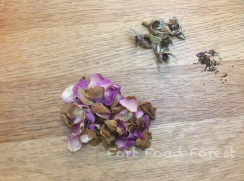 step2: 將玫瑰花瓣摘下, 花托及花蕊不要.