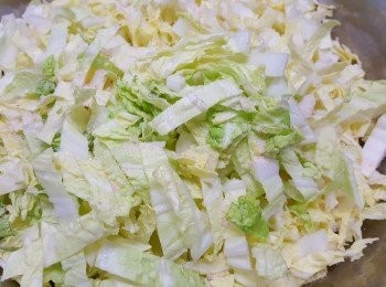 step1: 先用1湯匙鹽醃切碎的津白15-20分鐘。