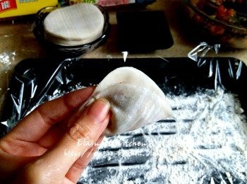 step10: 將餡料放上餃子皮中間位置 , 再對摺封口