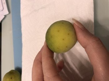 step2: 用牙籤把梅子表面拮孔，令浸起來更出味。