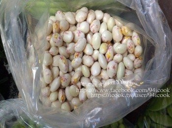step1: 新鮮花豆飽滿肥美滋味鮮美