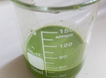 step1: 先將班蘭葉洗淨剪碎加入椰奶,打成(班蘭汁)隔去渣宰大約留待(約40g)班蘭椰奶(待用)