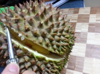 step9: 沿住條線慢慢推就可以開到榴槤,每1條線就有1份肉