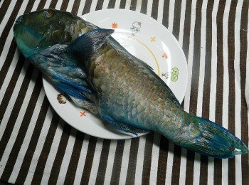 step1: "來自馬紹爾無汙染海域，漁獲一捕獲即超低溫急速冷凍~ 全產品重金屬檢驗合格，無添加任何化學藥劑!安心天然，價格實在!"這一尾鸚哥魚蠻大尾的，如果只做一種料理，是不是有點可惜呢？