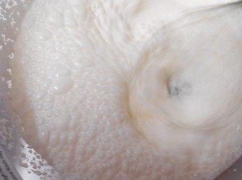 step3: 3、將C（淇淋芝士，煉奶）攪拌至松發，加入以上的咖啡明膠粉混合料內，拌勻。