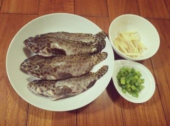 step1: 將玳瑁石斑【澎湖野生水產】從袋中取出，解凍，將去魚鱗、魚鰓、內臟，並清洗乾淨，薑絲切絲、青蔥切珠，備用；