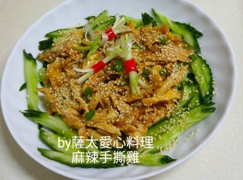 麻辣手撕雞