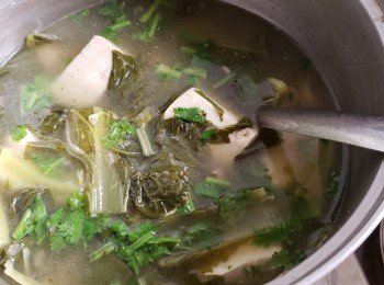 草菇芥菜豆腐湯