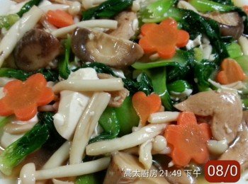 鮮菇小棠菜燴豆腐