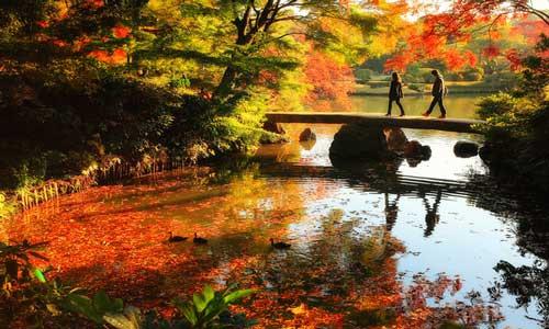 明日霜降：最重要的養生時機，7件小事健康過冬