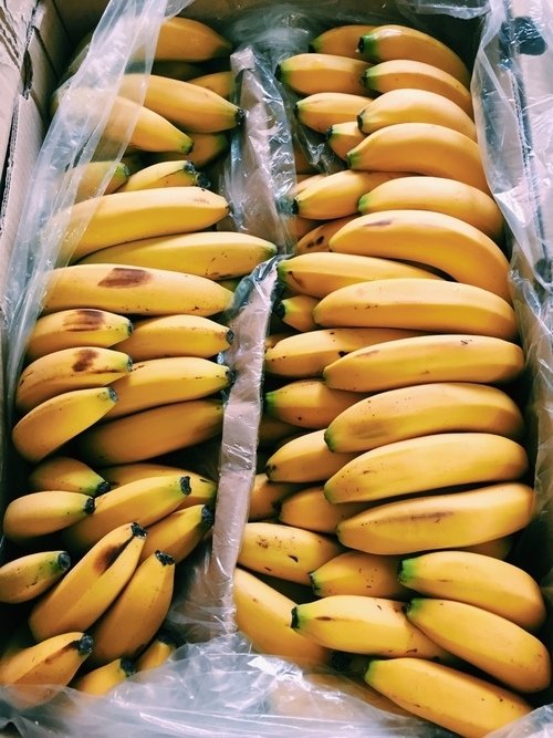 想瘦的妳，多吃香蕉吧！
