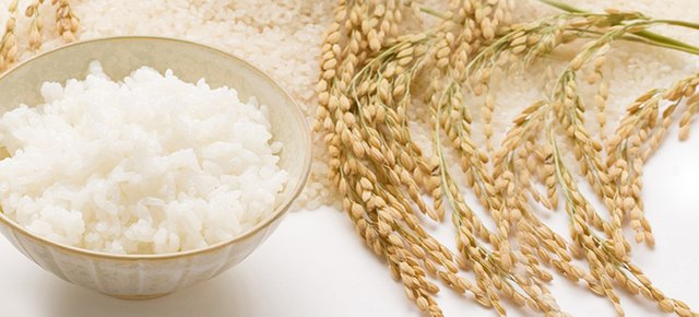 米飯的碳水化合物是含量相對低的NO.1♡