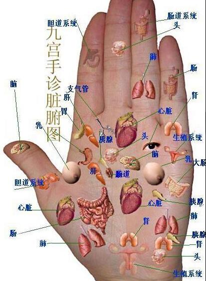 幾乎失傳的手診，實在是太全太珍貴了...一定要收