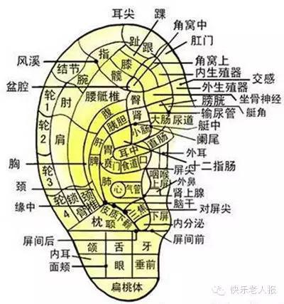 中醫說，這個地方越摸越長壽，你一定想不到！