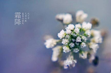 明日霜降：最重要的養生時機，7件小事健康過冬