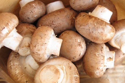 蘑菇是最強的減肥食材！