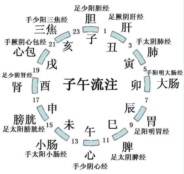 中醫養生: 口臭、胃酸、便秘的中醫調理法